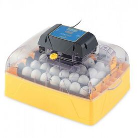 Brinsea ovation 28 advance digital incubadora automática para aves