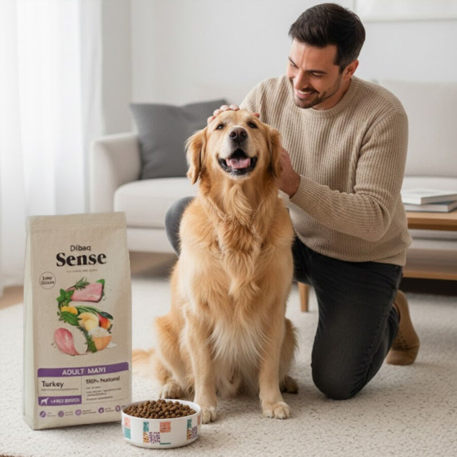 12 Dibaq Sense Low Grain Adult Maxi Pavo Pienso para perros, , large Imagen numero 4