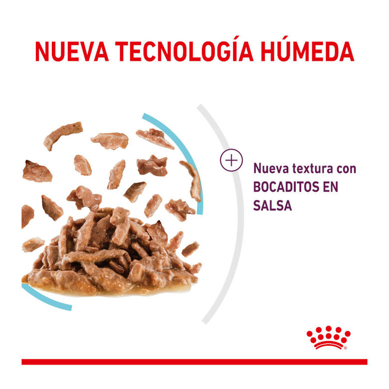 Royal Canin Adult Sensory Feel salsa sobre para gatos thumbnail