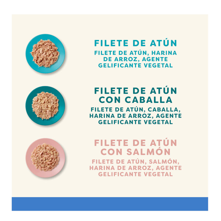 12 sobres x 70 g Applaws Selection Mix en Gelatina sobre para gatos - Multipack, , large Imagen numero 3