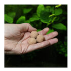 JBL 7 Kugeln Fertilizante para Plantas de acuarios de agua dulce, , large image number null