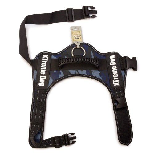 Arn&eacute;s Xtreme para perros color Azul, , large Imagen numero 3