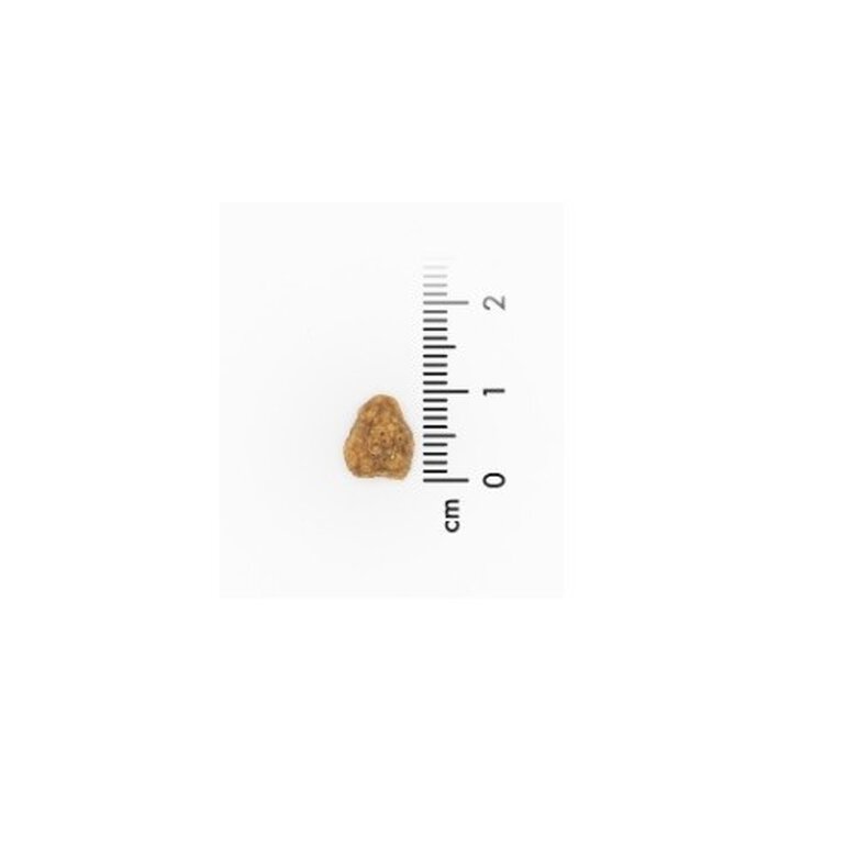 VeggieAnimals Plus comida vegetal para gatos adultos, , large image number null