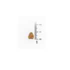 VeggieAnimals Plus comida vegetal para gatos adultos, , large image number null