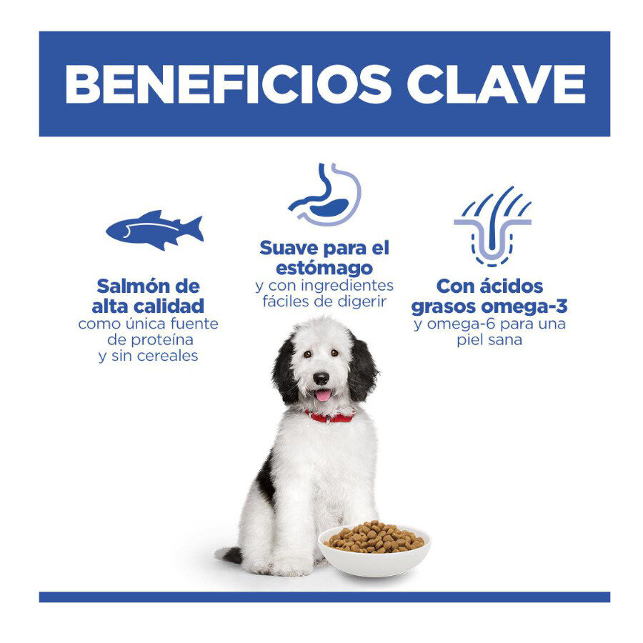 Hill&#039;s Science Plan Hipoalergénico Large Salmón pienso para perros thumbnail