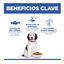 Hill's Science Plan Hipoalergénico Large Salmón pienso para perros, , large indicador imagen numero 4