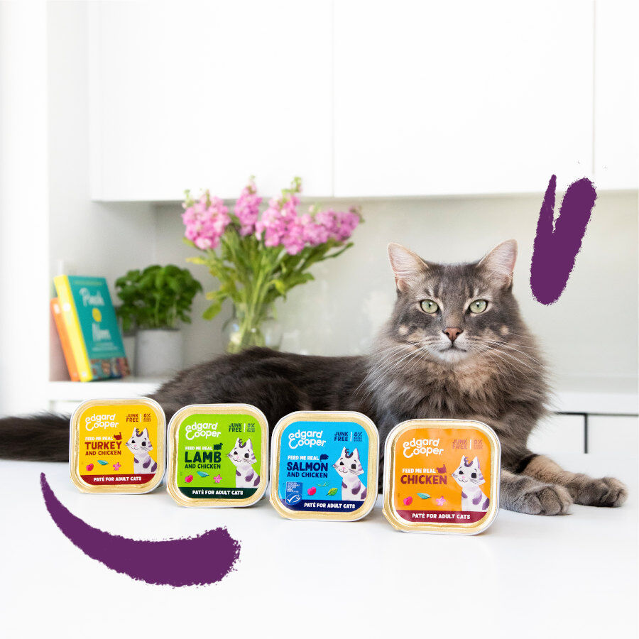 Edgard &amp; Cooper Tarrina en Paté para gatos thumbnail