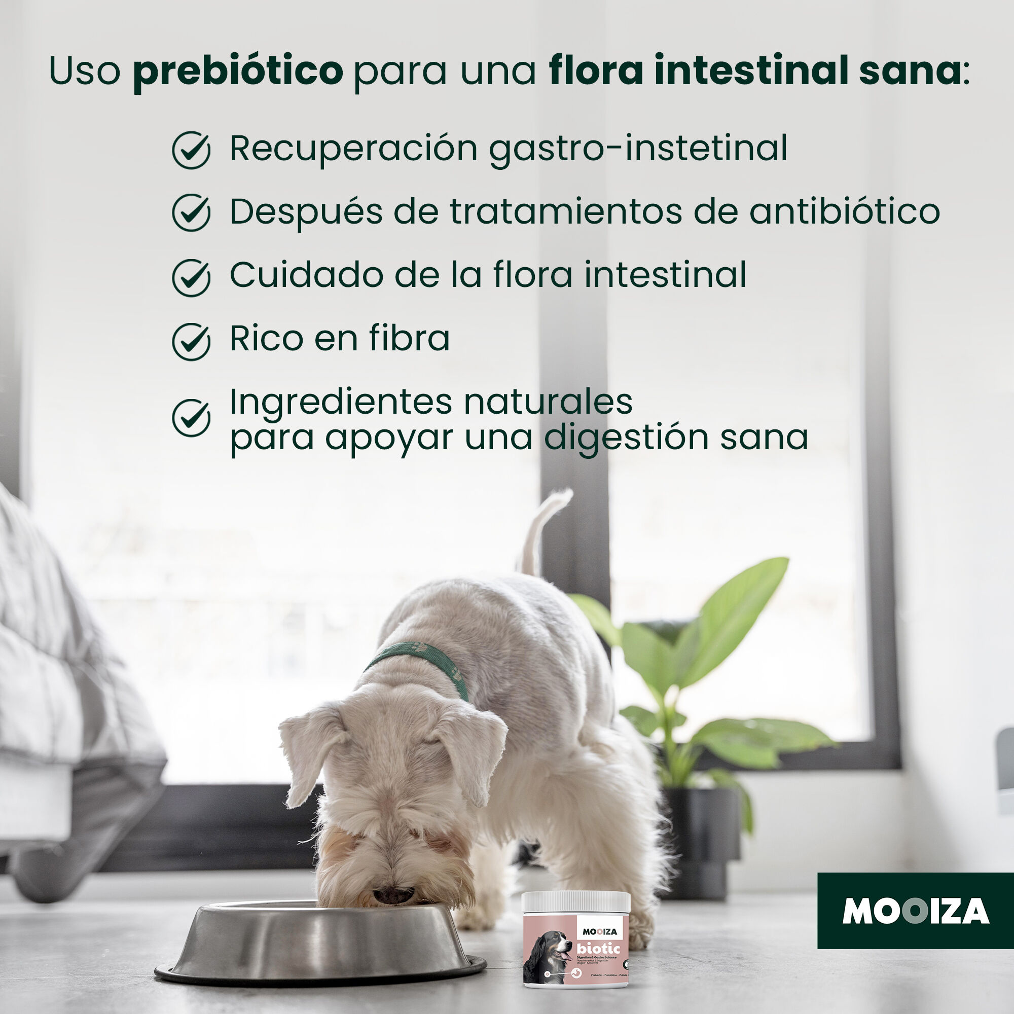 MOOIZA biotic - snack prebiotico, , large Imagen numero 5