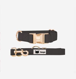 Foxys CityFox Kit Collar y Correa Negro para perros