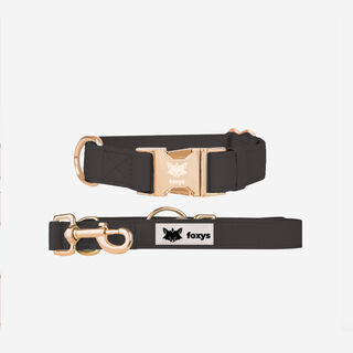 Foxys CityFox Kit Collar y Correa Negro para perros