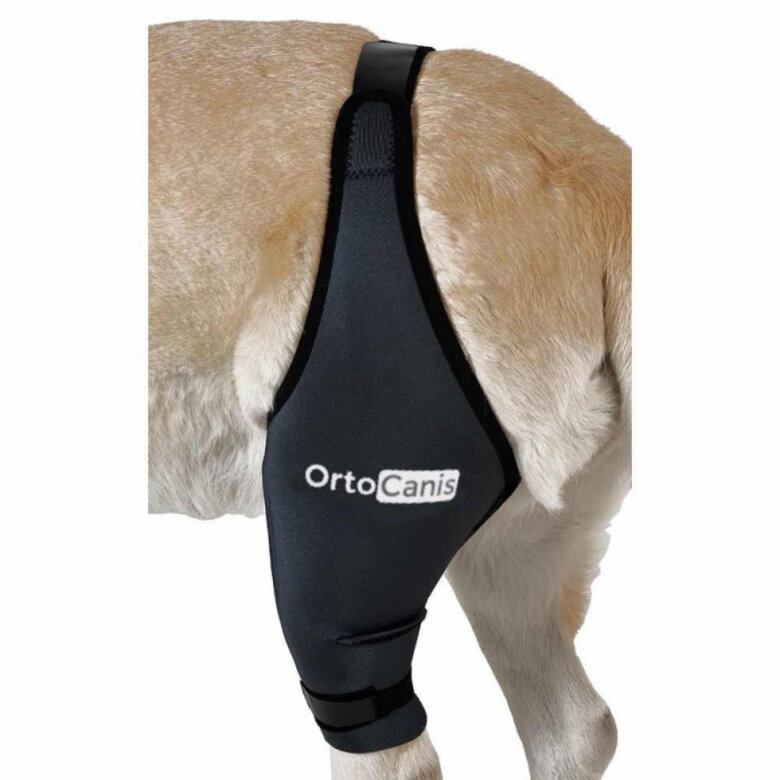 Ortocanis Protector negro de rodilla derecha para perros, , large image number null