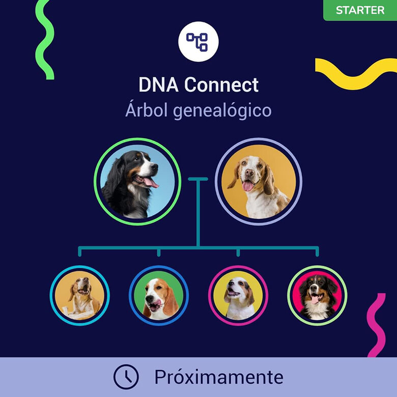 Prueba De ADN Para Perros Starter, , large image number null