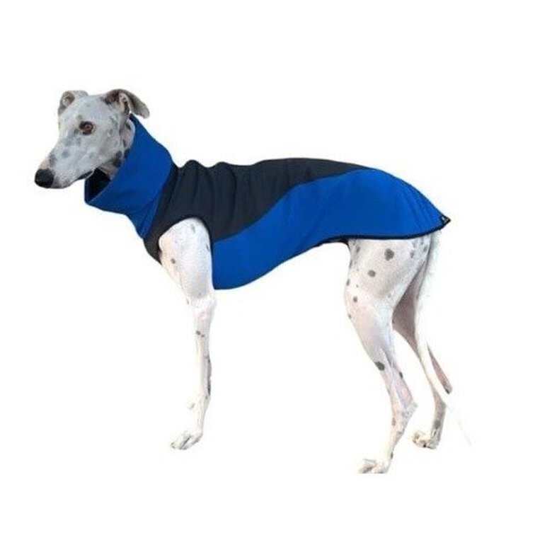 Galguita amelie softsell abrigo impermeable azul y gris para perros, , large image number null
