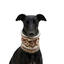 Gotoo Bufanda Estampado Retro para perros, , large indicador imagen numero 7