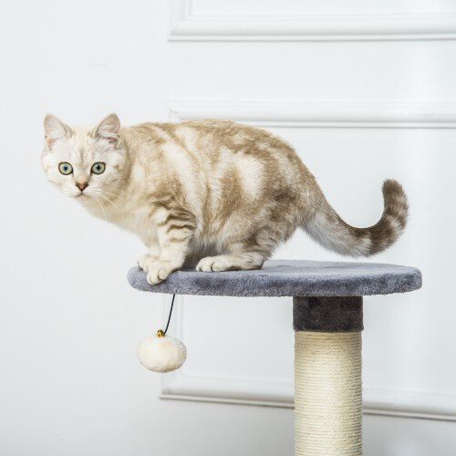 PawHut &Aacute;rbol Rascador con Cueva Gris para gatos peque&ntilde;os, , large Imagen numero 5