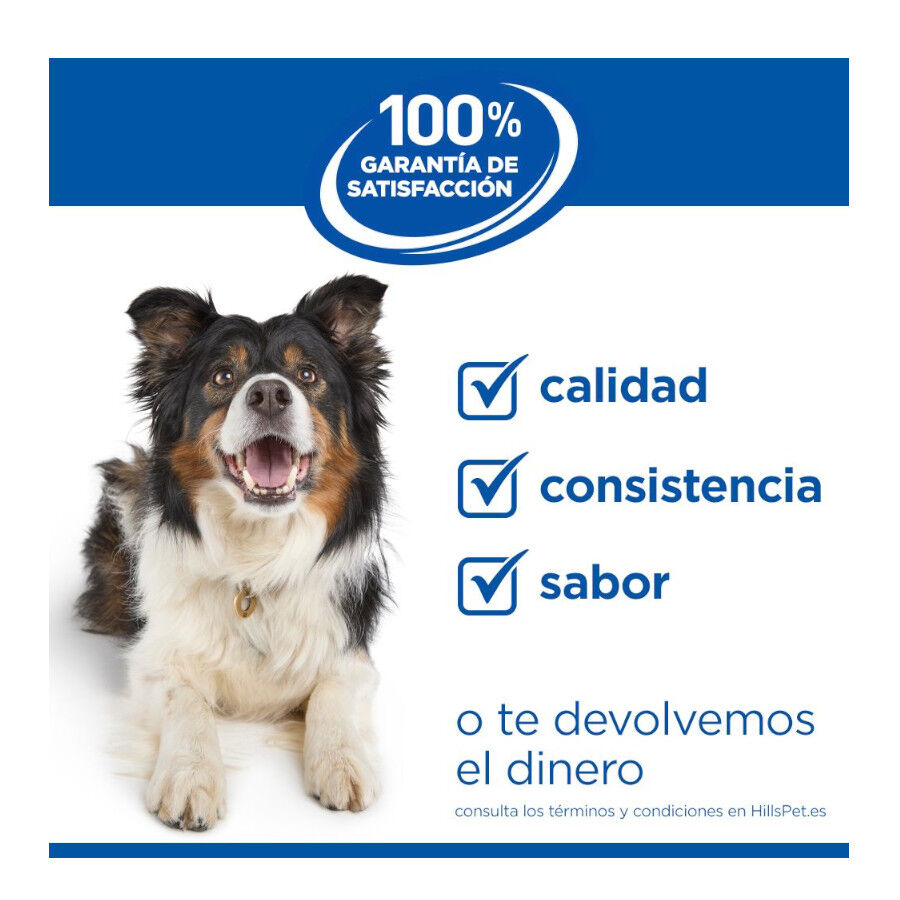 14 kg Hill's Science Plan Adult Medium Pollo pienso para perros, , large Imagen numero 11