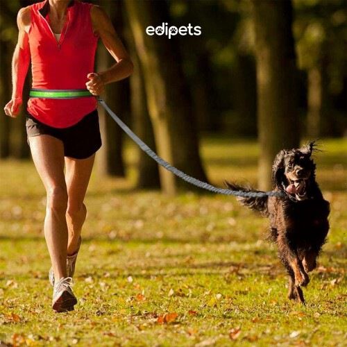 Edipets correa canicross con portabotellas gris para perros thumbnail