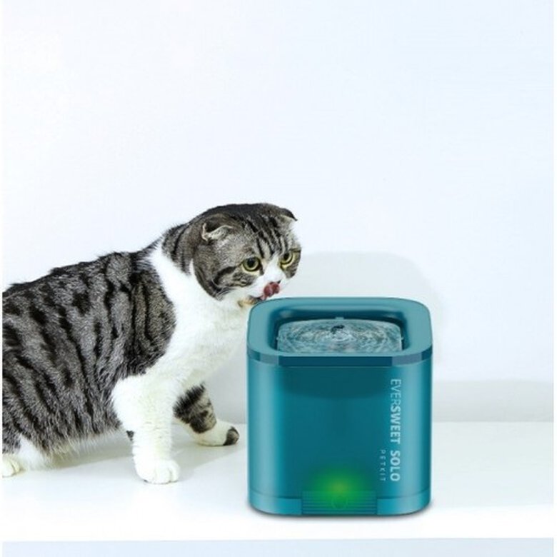 Petkit fuente inteligente turquesa para gatos, , large image number null