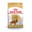 12 kg Royal Canin Adult Cocker pienso para perros, , large indicador imagen numero 1