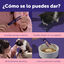 6 barritas Feliway Ceva Happy Snack Salm&oacute;n para gatos, , large indicador imagen numero 6