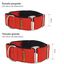 Collar Martingale para perro color Rojo, , large indicador imagen numero 3