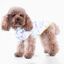 Suéter Chispa Neosticks para perros color Blanco, , large indicador imagen numero 2