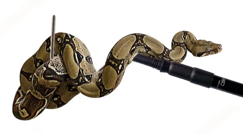 Reptilhábitat Manipulador De Serpiente para terrario thumbnail