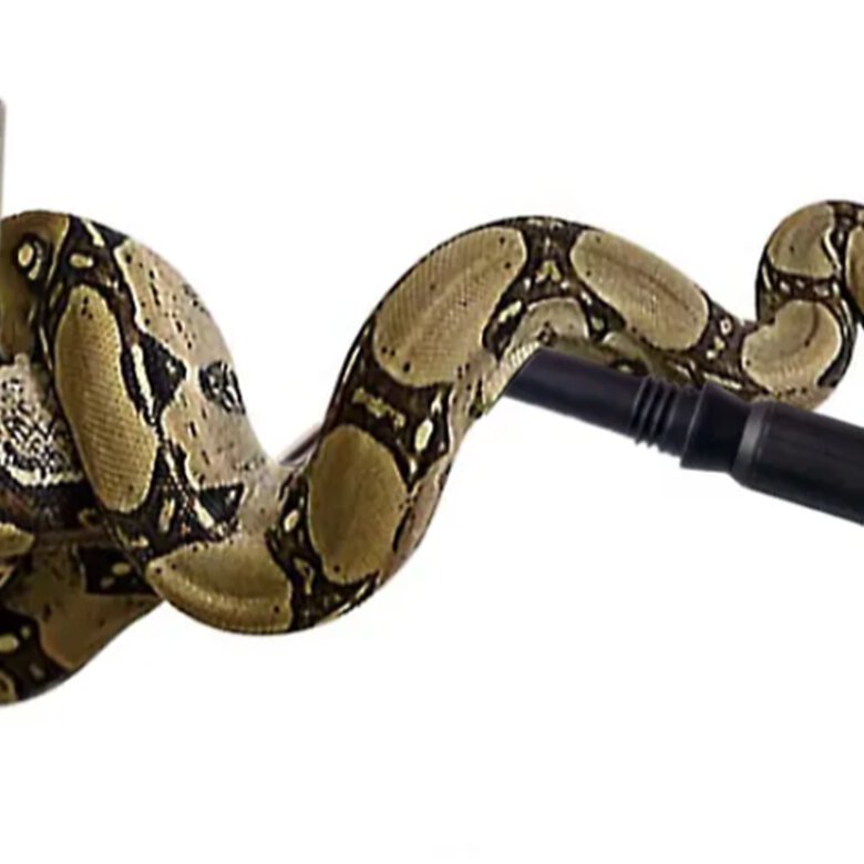 Manipulador de serpiente, , large image number null