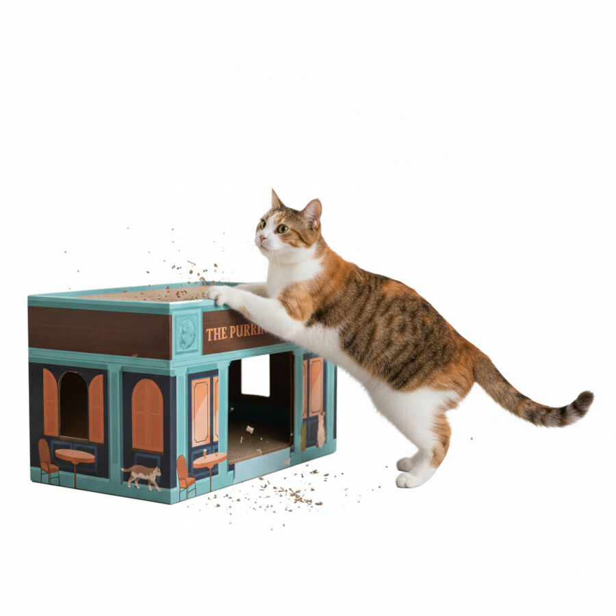 All For Paws Vintage Rascador Pint Scratcher para gatos, , large Imagen numero 3