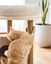 Althea Living - Árbol para Gatos Horizonte, 3 alturas, madera y sisal, , large indicador imagen numero 5