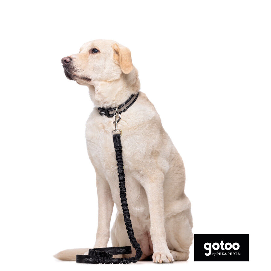 Gotoo Collar de malla transpirable gris para perros thumbnail