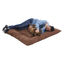 Cama de mascota PetPalace, extra-grande con relleno acolchado y tela altamente resistente., , large indicador imagen numero 1