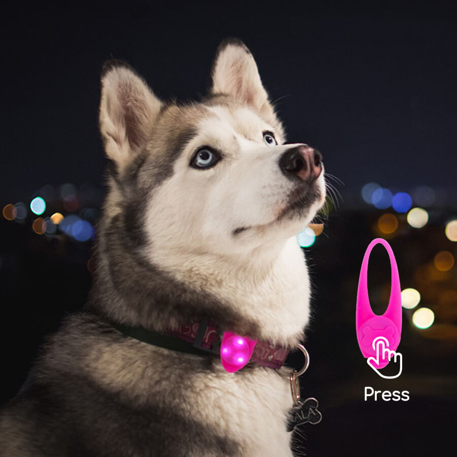 Nobleza Luz LED de Silicona para Collar de perro thumbnail