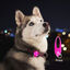 Nobleza Luz LED de Silicona para Collar de Perro,Luz de Seguridad para Mascotas Impermeable para Caminar de Noche Accesorios de Perros,3 Modos，L8*W3.2CM(1 Pcs), , large indicador imagen numero 5