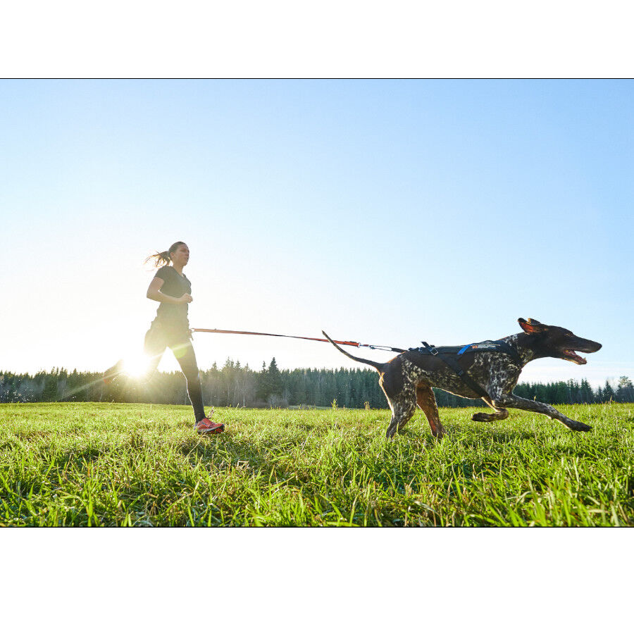 Non-stop dogwear Bungee Correa El&aacute;stica Negra y Naranja para perros, , large Imagen numero 7