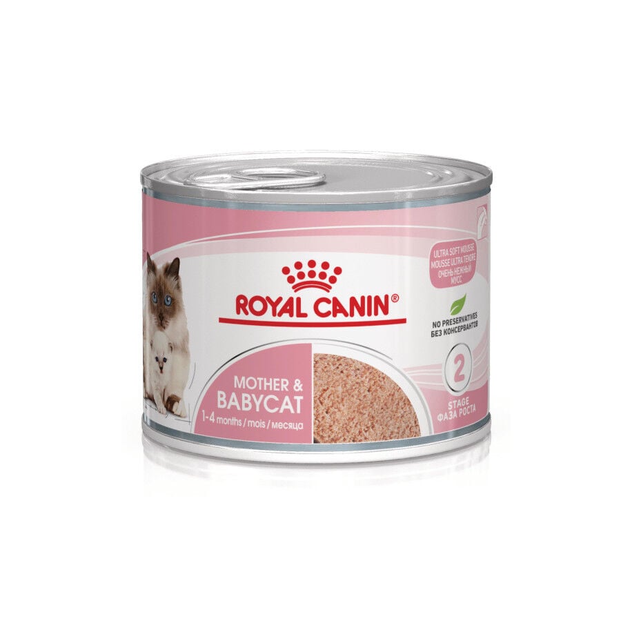 Royal Canin Mother &amp; Baby mousse latas para gatos thumbnail