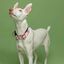 Baona collar martingale qawra de nylon reciclado rosa para perros, , large indicador imagen numero 2