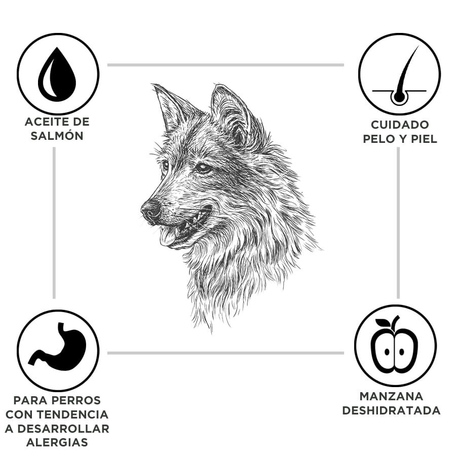 Criadores Adulto Cordero y Arroz pienso para perros de razas mediana y grande thumbnail