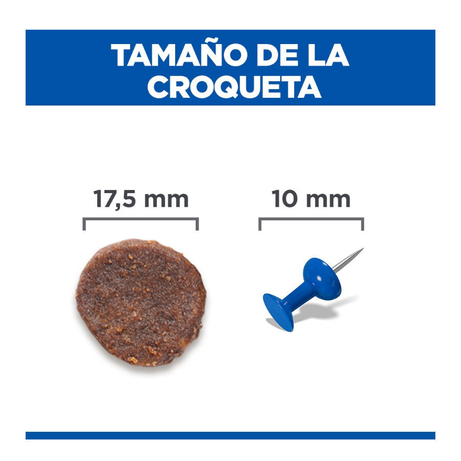 14 kg Hill's Science Plan Hipoalerg&eacute;nico Large Salm&oacute;n pienso para perros, , large Imagen numero 4