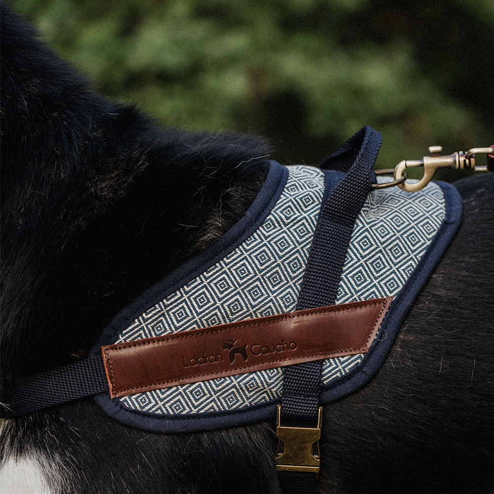 ARN&Eacute;S SEGURIDAD DALTON - S, , large Imagen numero 4