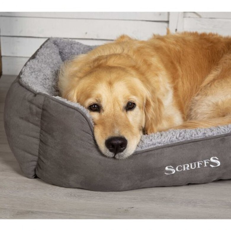 Cama De Mascota color Gris, , large image number null