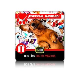 Tgbox dos días con tu mascota en Navidad