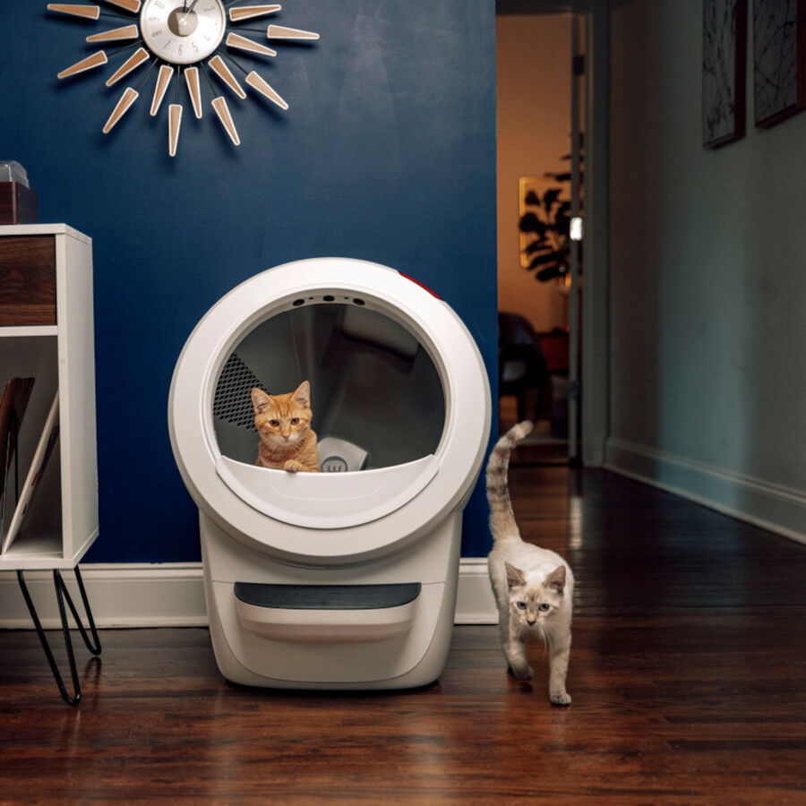 Litter-Robot Arenero Autolimpiable Blanco para gatos, , large Imagen numero 5