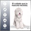 MD-10 Champú Hidratante vegano para perro de Agua Español Blanco, , large indicador imagen numero 3