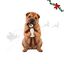 Wonder Christmas Amigo Oso XL Peluche para perros, , large indicador imagen numero 1