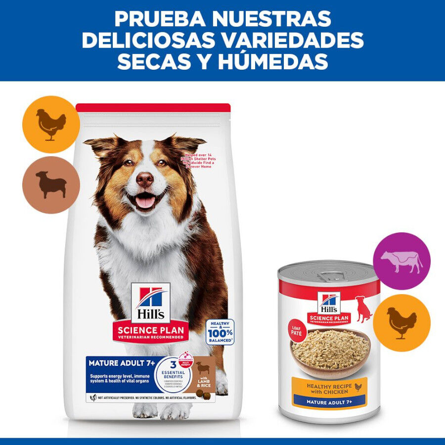 14 kg Hill's Science Plan Mature Adult Medium Cordero pienso para perros, , large Imagen numero 8