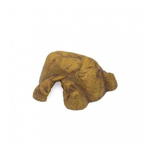 Exo Terra Reptil Cave Casa de Reptiles para terrarios