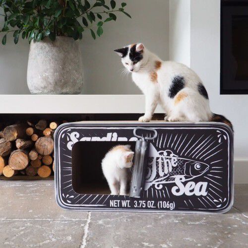 Rascador/Cueva District70 Sardine para gatos color Negro, , large Imagen numero 2