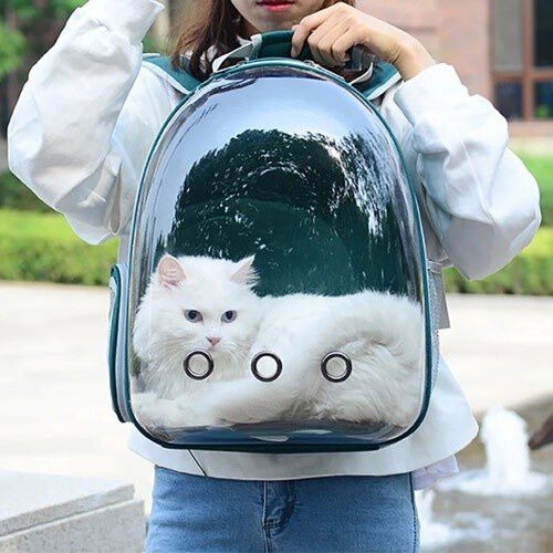 Mochila de gato best sale