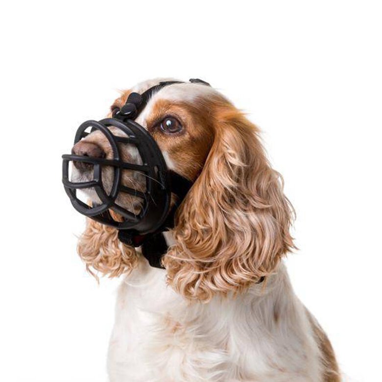 Bozal Baskerville Ultra Muzzle online